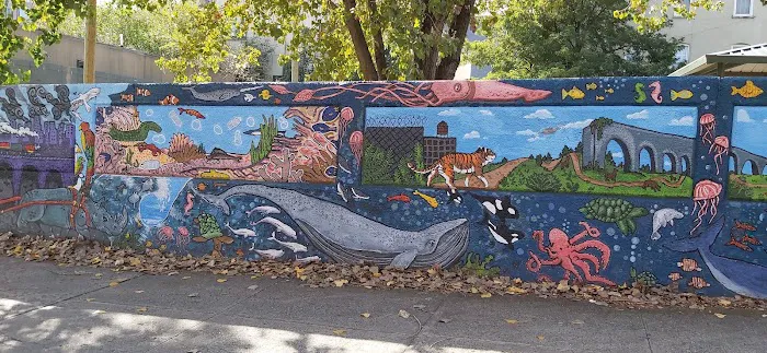 LIC Dog Park 6