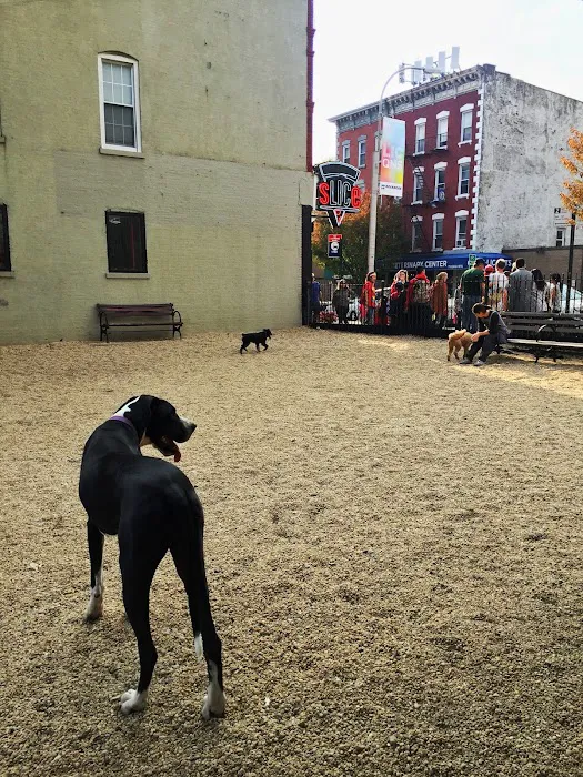 LIC Dog Park 10