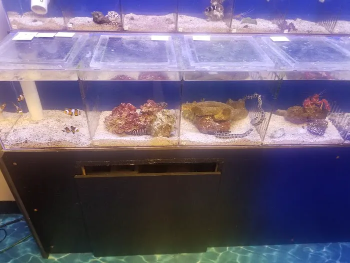 Salty's of Lake Norman 2