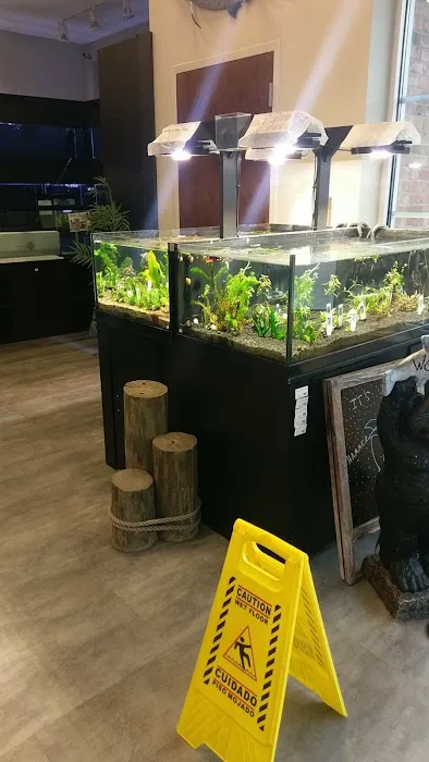 Salty's of Lake Norman 8