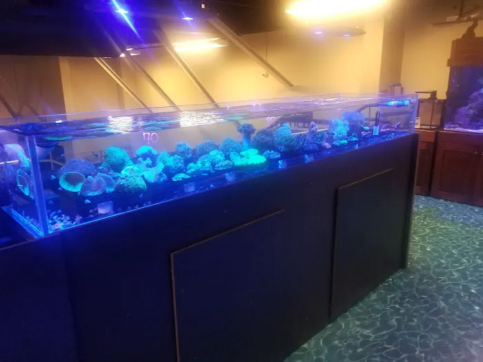 Salty's of Lake Norman 6