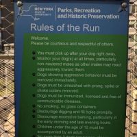 Dog Park Of Gantry Plaza State Park ico