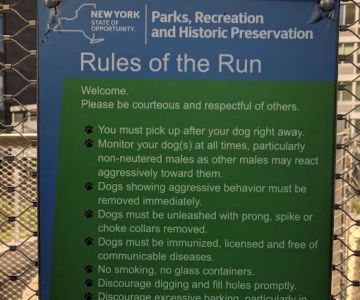 Dog Park Of Gantry Plaza State Park