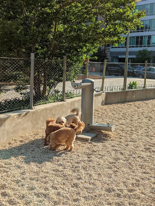 Dog Park Of Gantry Plaza State Park 4