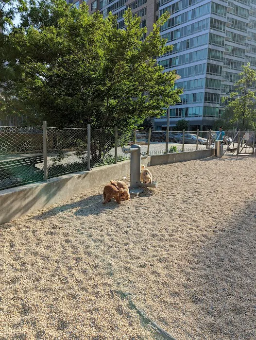 Dog Park Of Gantry Plaza State Park 10
