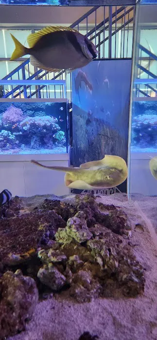 Aquatica 3