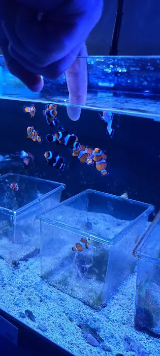 Aquatica 10