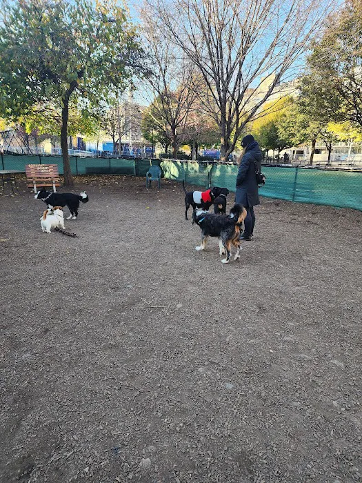 Murray Playground Dog Run 1