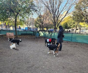Murray Playground Dog Run