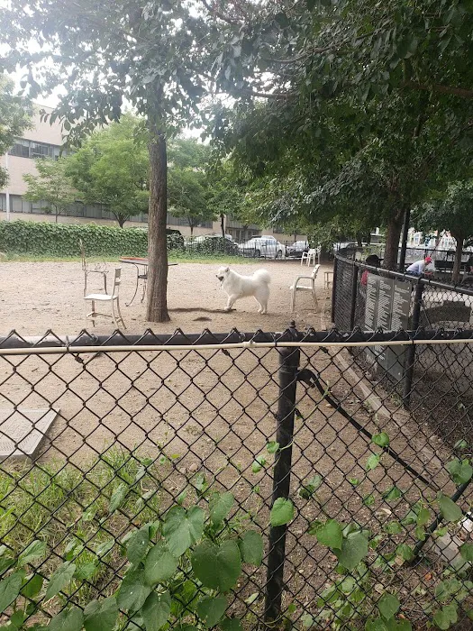 Murray Playground Dog Run 9