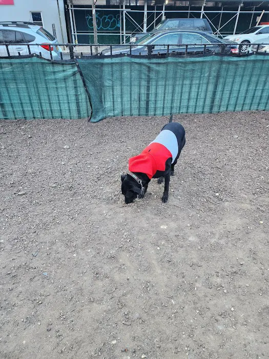 Murray Playground Dog Run 10