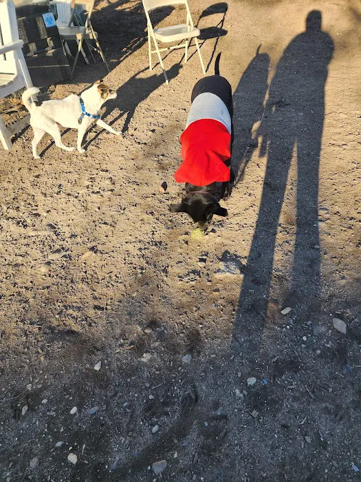 Murray Playground Dog Run 8