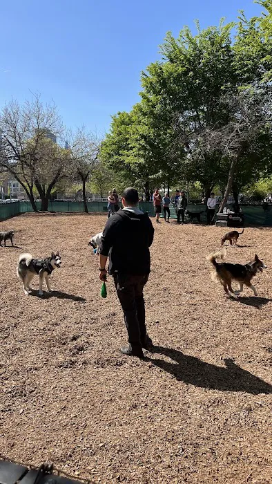 Murray Playground Dog Run 7