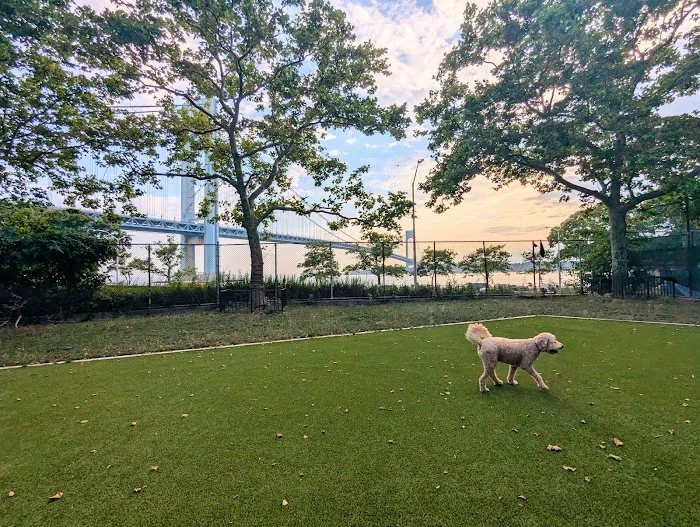 Frank Decolvenaere Dog Run 3