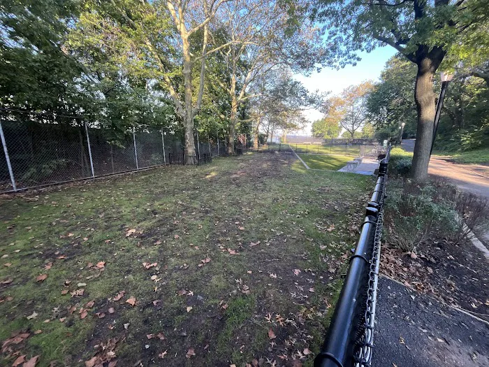 Frank Decolvenaere Dog Run 7