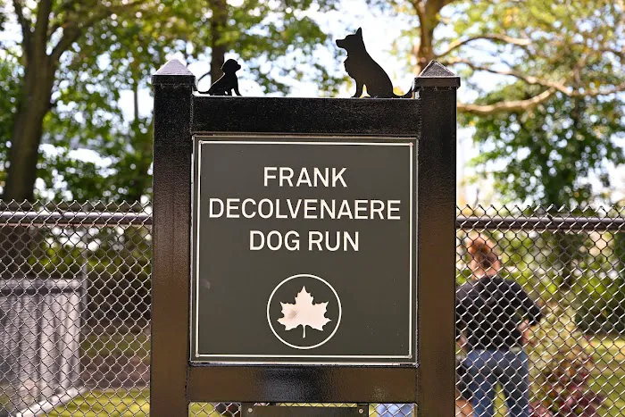 Frank Decolvenaere Dog Run 9
