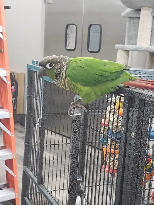 Pet Supermarket 1