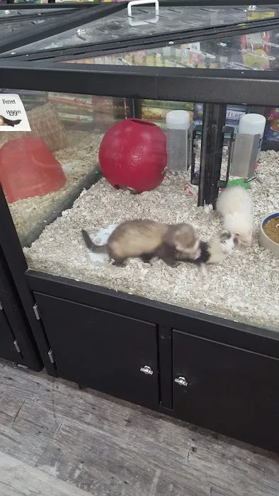 Pet Supermarket 5
