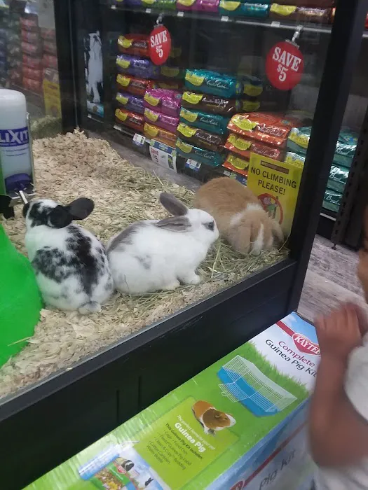 Pet Supermarket 10