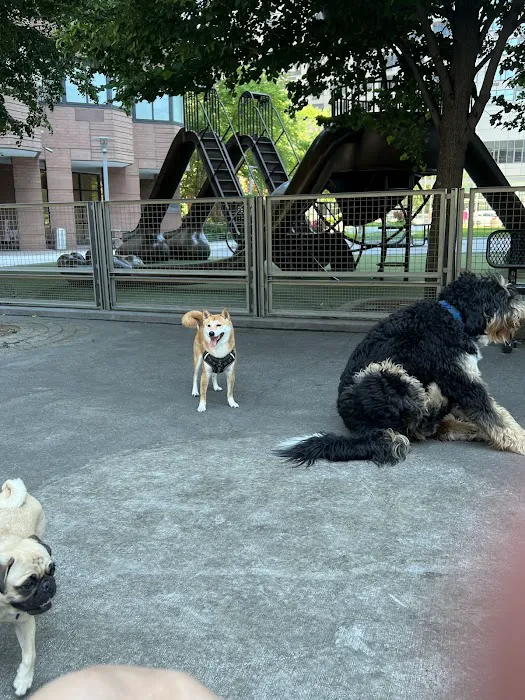 Silver Towers Dog park 3