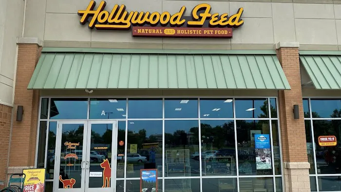Hollywood Feed 3