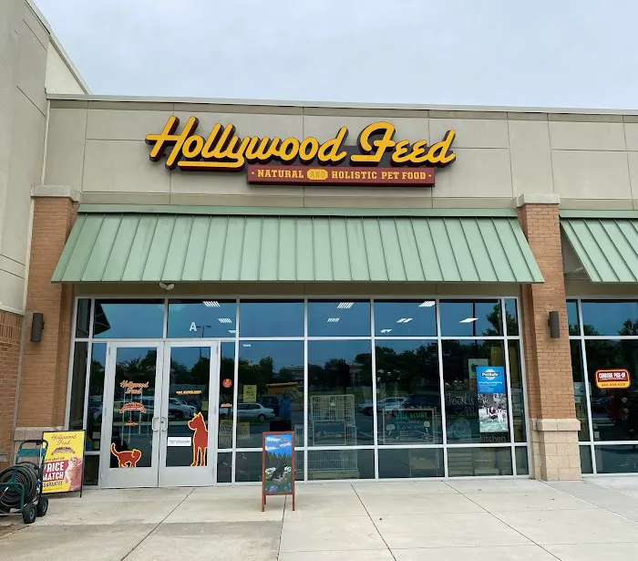 Hollywood Feed 10