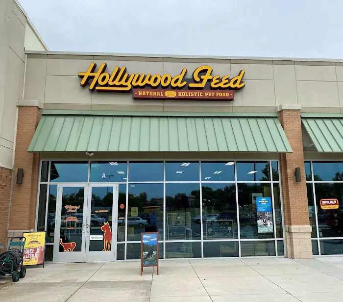 Hollywood Feed 7