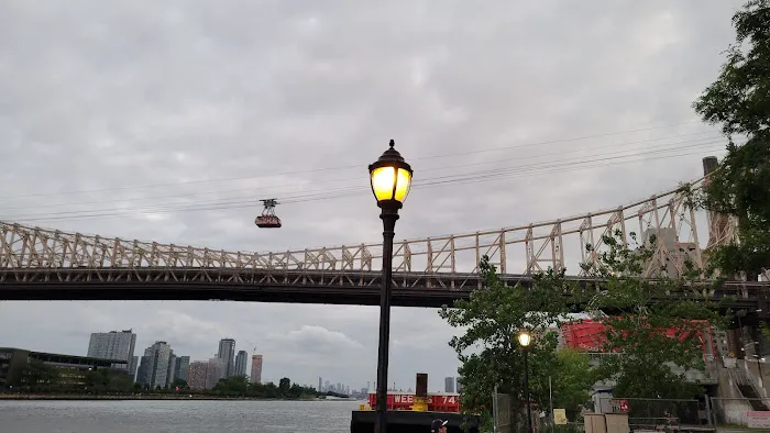East River Esplanade Dog Run 1