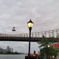 East River Esplanade Dog Run ico
