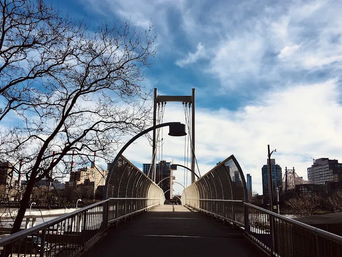 East River Esplanade Dog Run 2