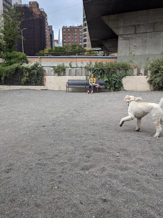 East River Esplanade Dog Run 3