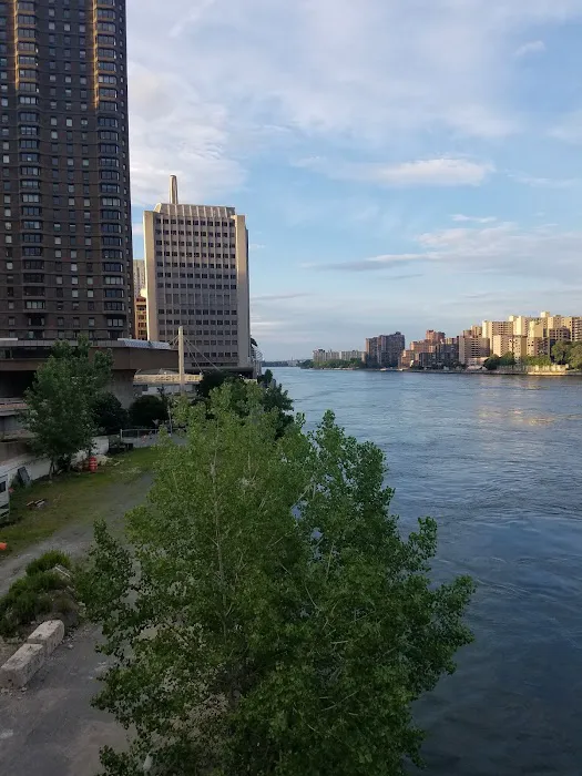 East River Esplanade Dog Run 5
