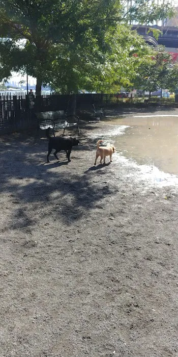 East River Esplanade Dog Run 9