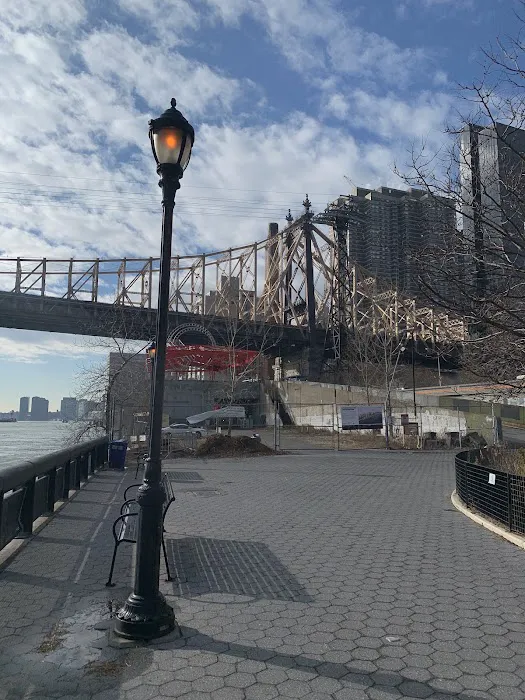 East River Esplanade Dog Run 7