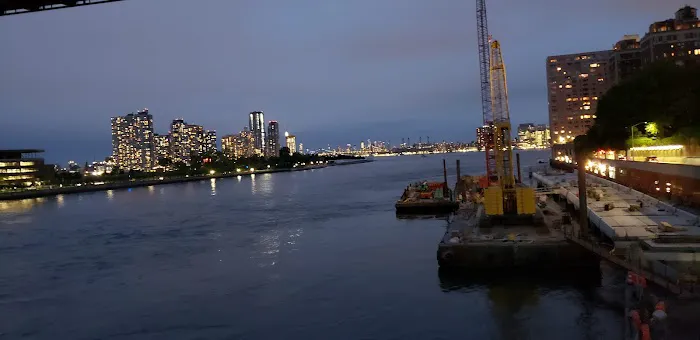 East River Esplanade Dog Run 8