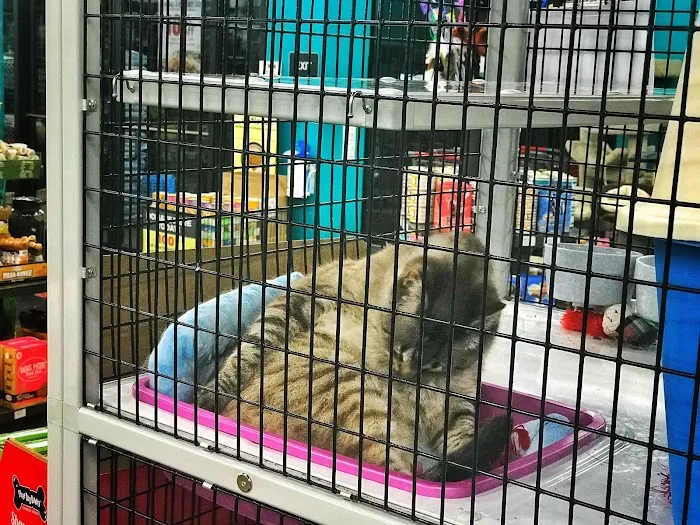 Pet Supermarket 3