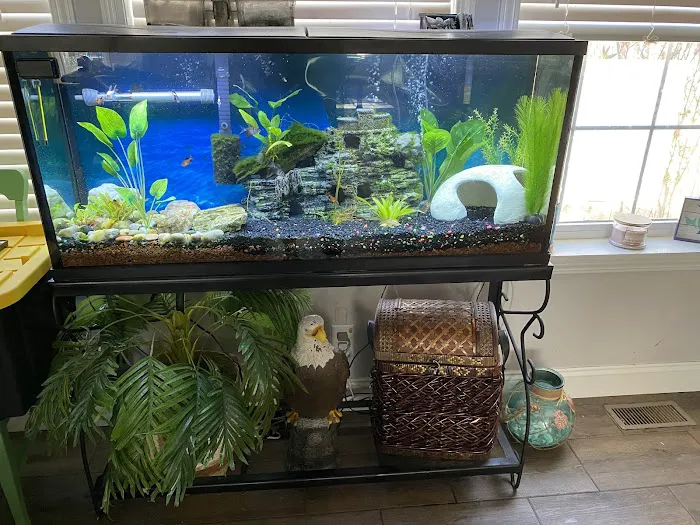 Pet Supermarket 9