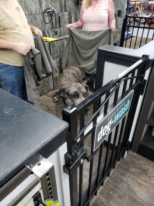Pet Supermarket 10
