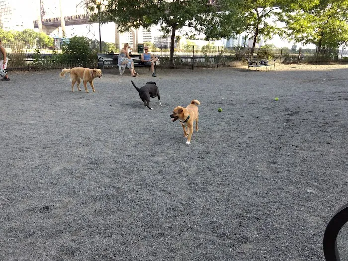 Andrew Haswell Green Dog Park 2