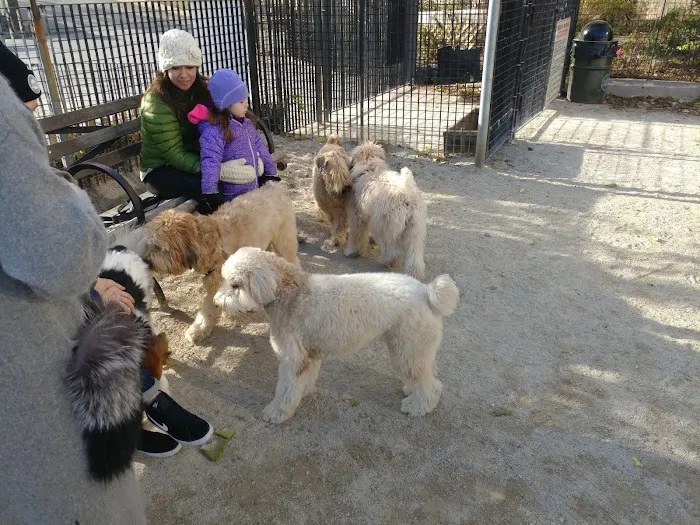 Andrew Haswell Green Dog Park 6