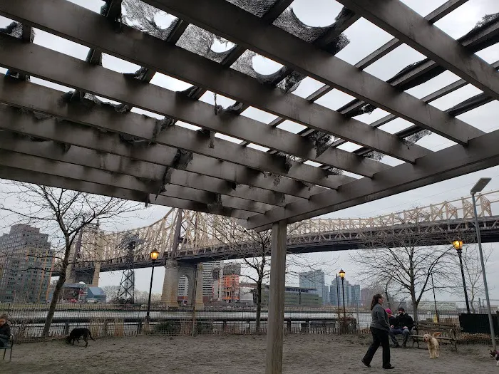 Andrew Haswell Green Dog Park 10