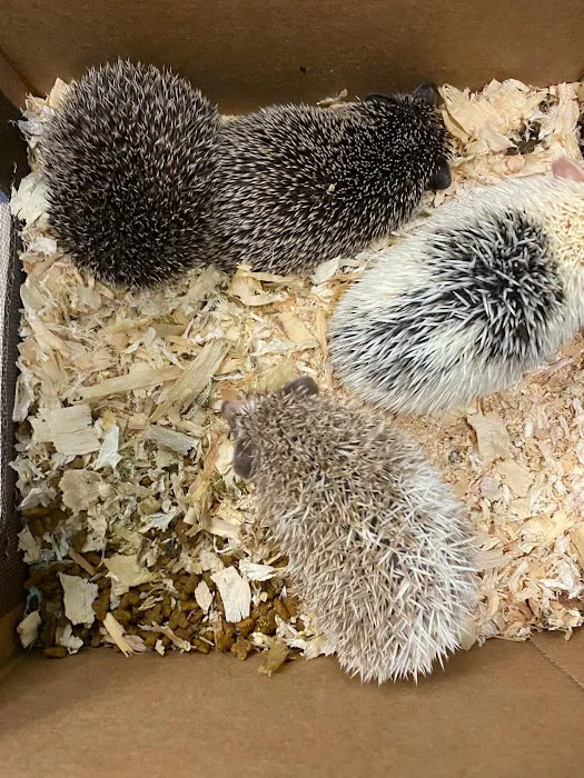 K-BAM Exotic Pet Store 2 3