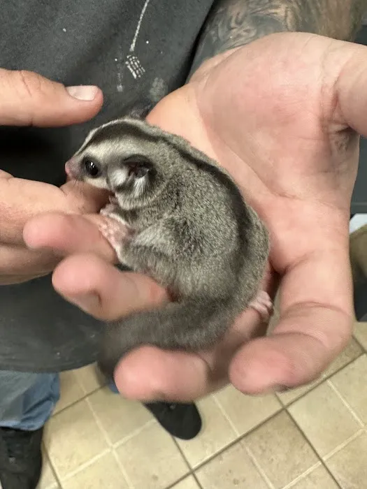 K-BAM Exotic Pet Store 2 5