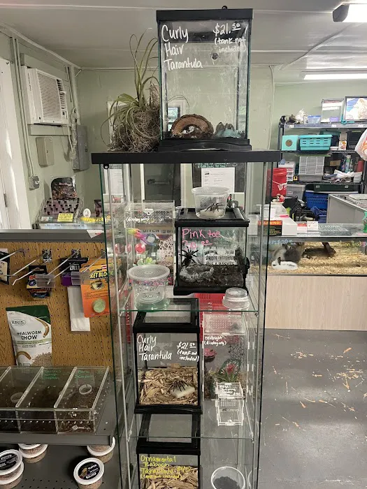 K-BAM Exotic Pet Store 2 4