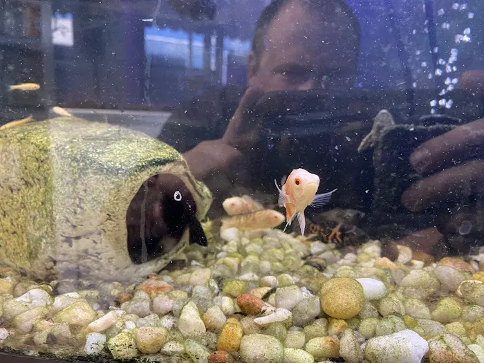 K-BAM Exotic Pet Store 2 6