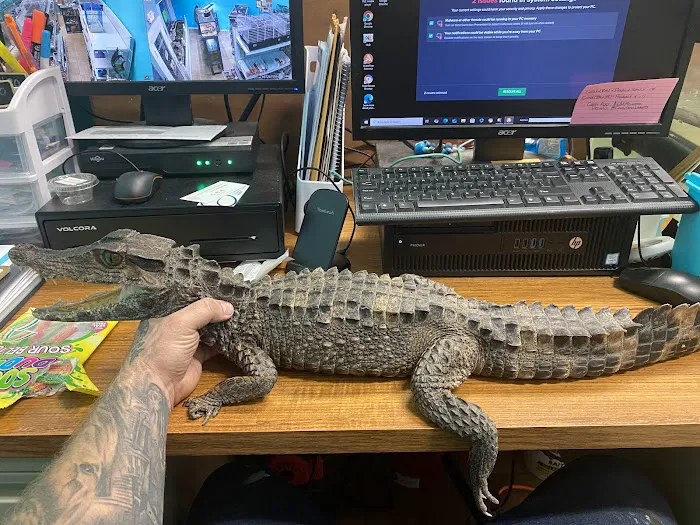 K-BAM Exotic Pet Store 2 7