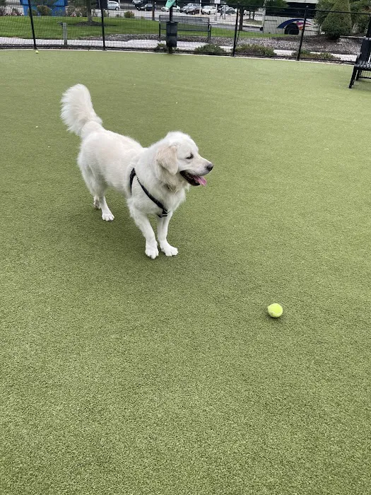 Estuary Apartment Dog Park 7