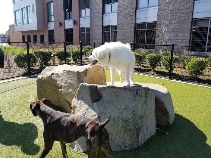 Estuary Apartment Dog Park 4
