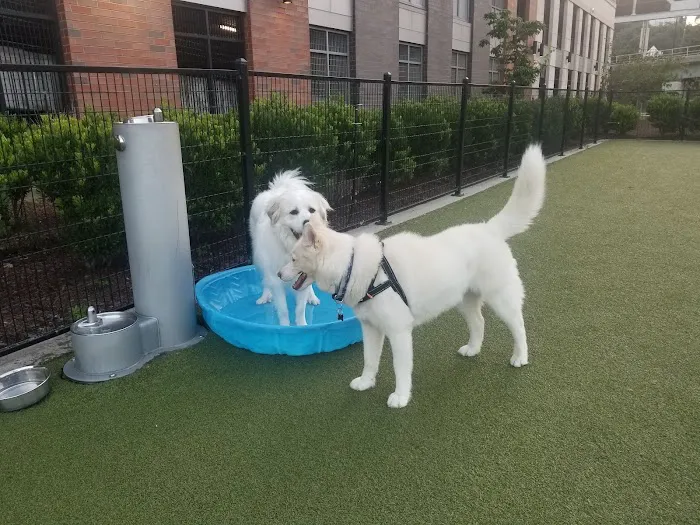 Estuary Apartment Dog Park 9