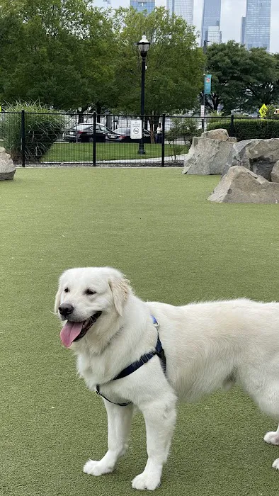 Estuary Apartment Dog Park 10